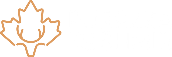 Purezza Kashmir